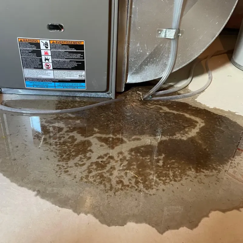 Appliance Leak Cleanup in El Reno, OK